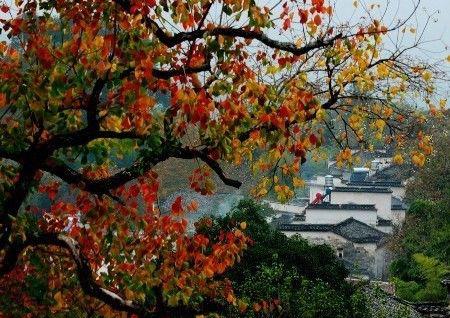黄山温泉最建议去的三个地方_黄山温泉_黄山温泉在哪里泡
