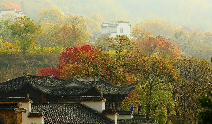 黄山温泉最建议去的三个地方_黄山温泉在哪里泡_黄山温泉