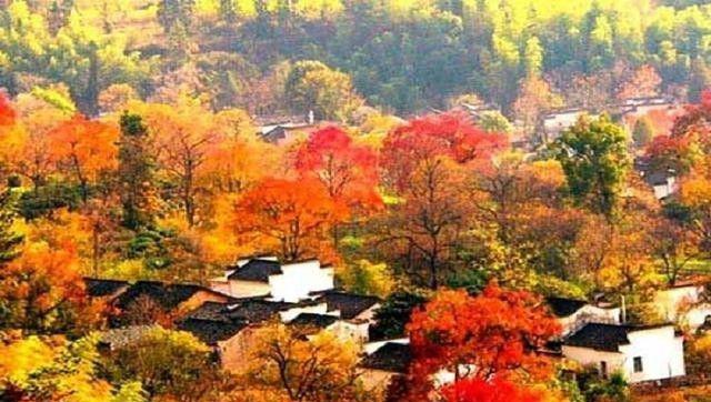 黄山温泉_黄山温泉在哪里泡_黄山温泉最建议去的三个地方